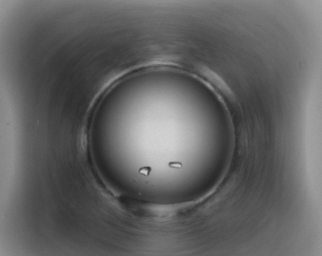 X0000114611268200910201145