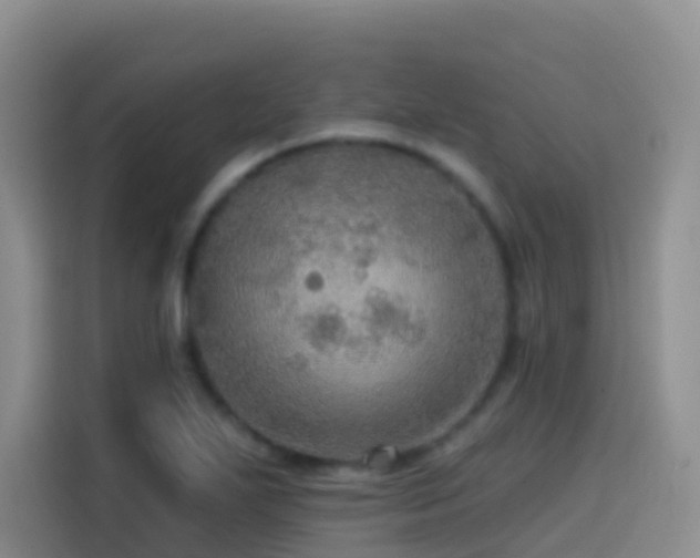 X0000114611271200910201145