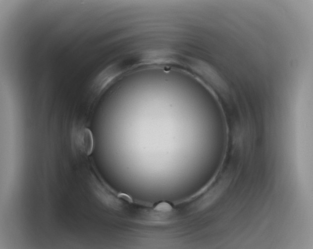 X0000114611273200910201145