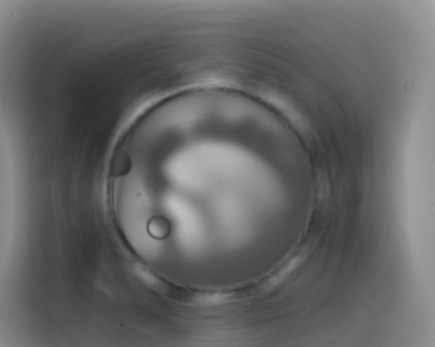 X0000114611278200910201145