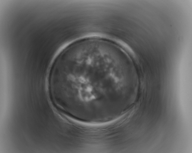 X0000114611279200910201145