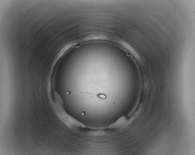 X0000114611282200910201145