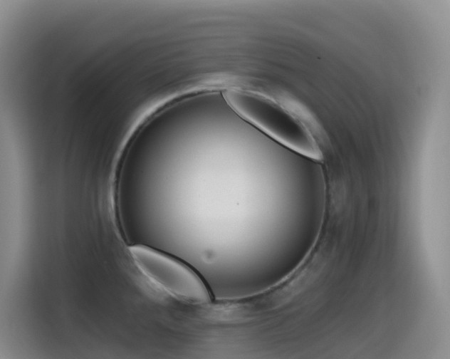 X0000114611288200910201145