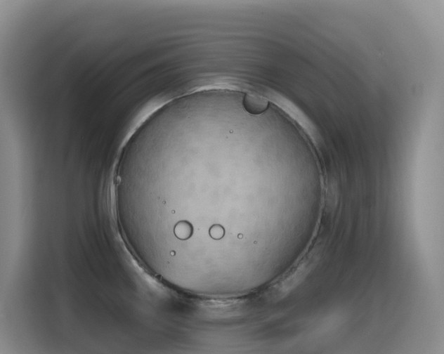 X0000114611290200910201145