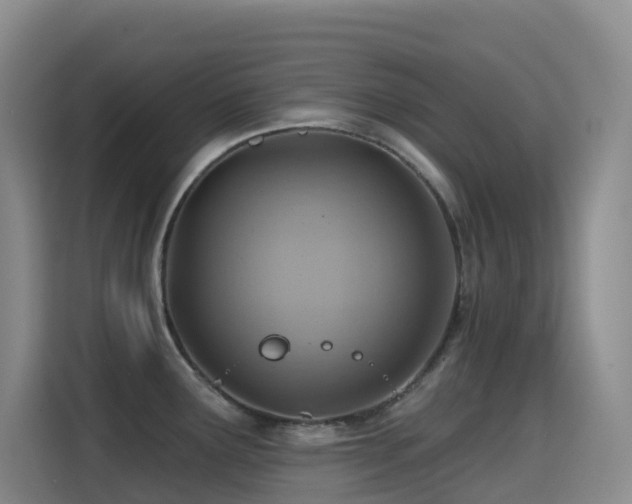 X0000114611291200910201145