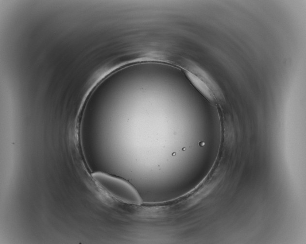 X0000114611292200910201145