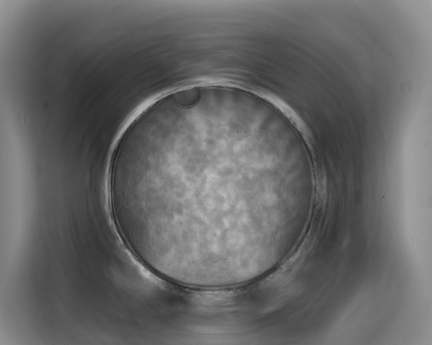 X0000114611294200910201145