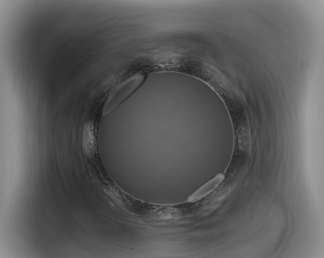 X0000114611298200910201144