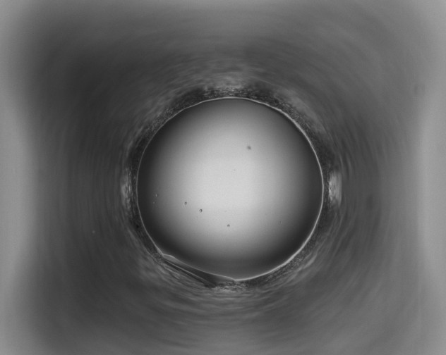 X0000114611299200910201144