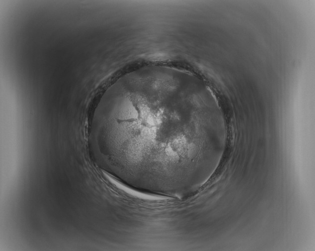 X0000114611301200910201144