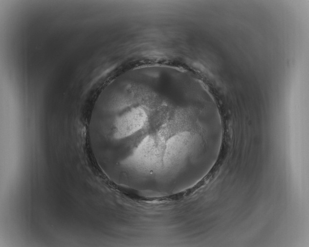 X0000114611302200910201144