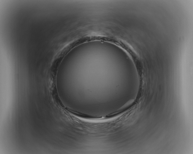 X0000114611303200910201144