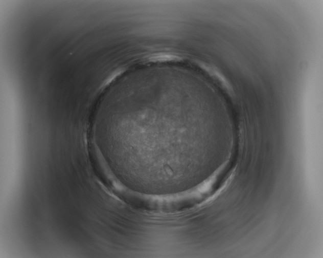 X0000114611305200910201144