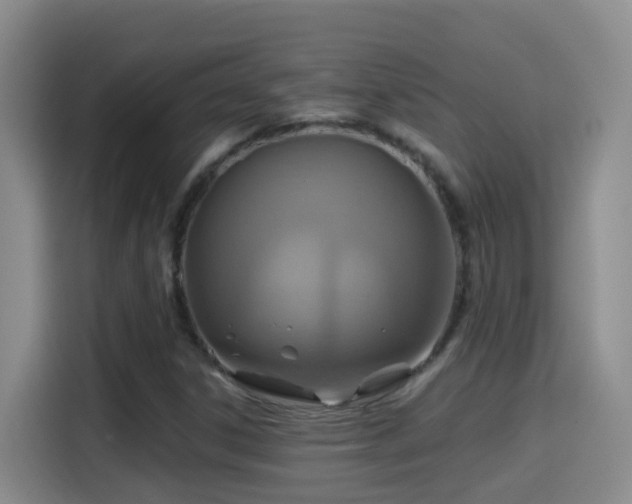 X0000114611306200910201144