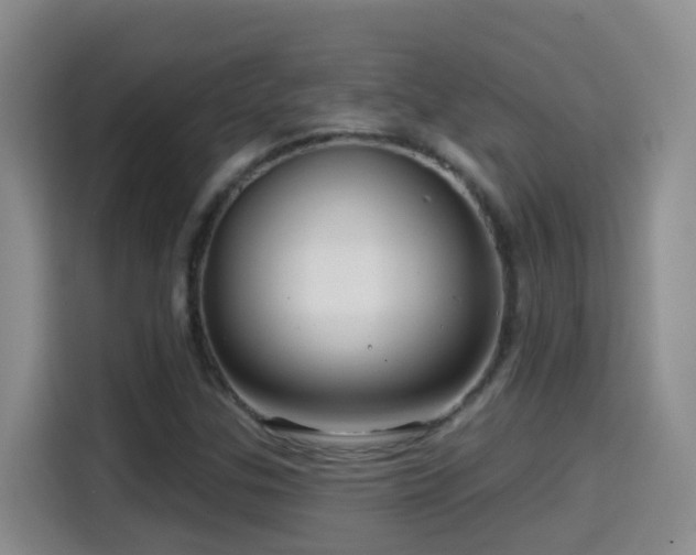 X0000114611307200910201144