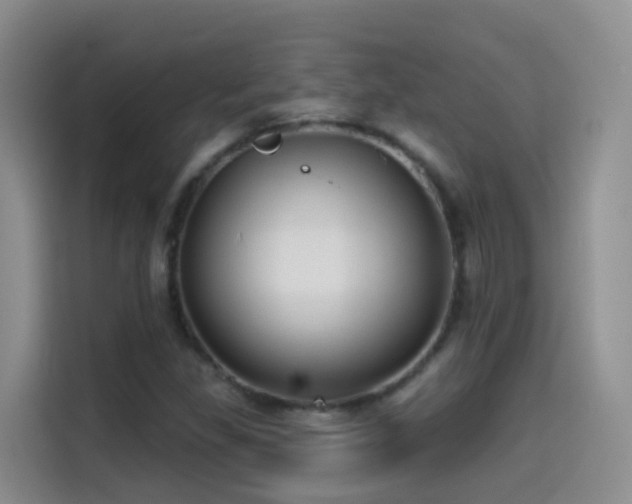 X0000114611309200910201144