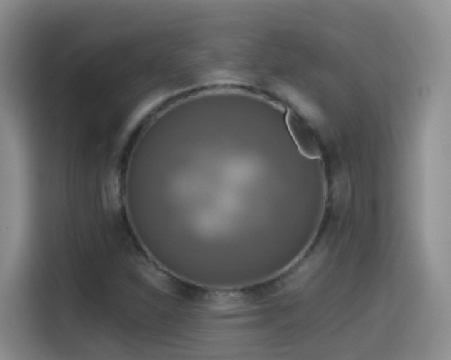 X0000114611310200910201144