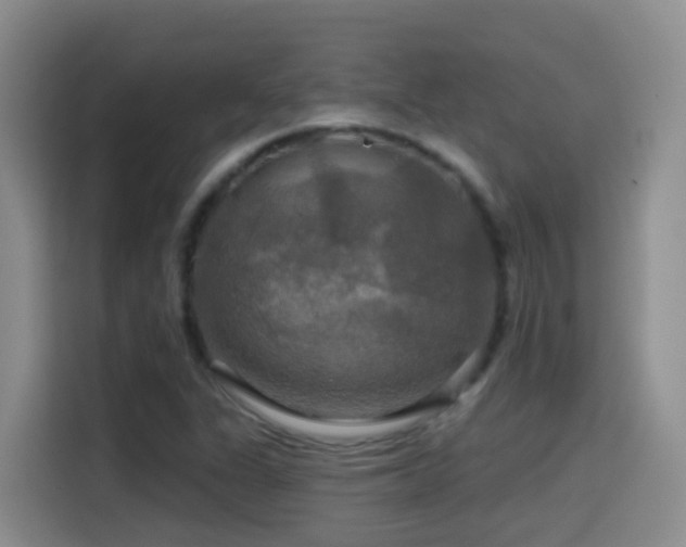 X0000114611311200910201144