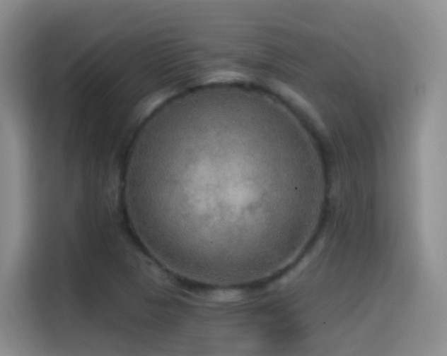 X0000114611313200910201144