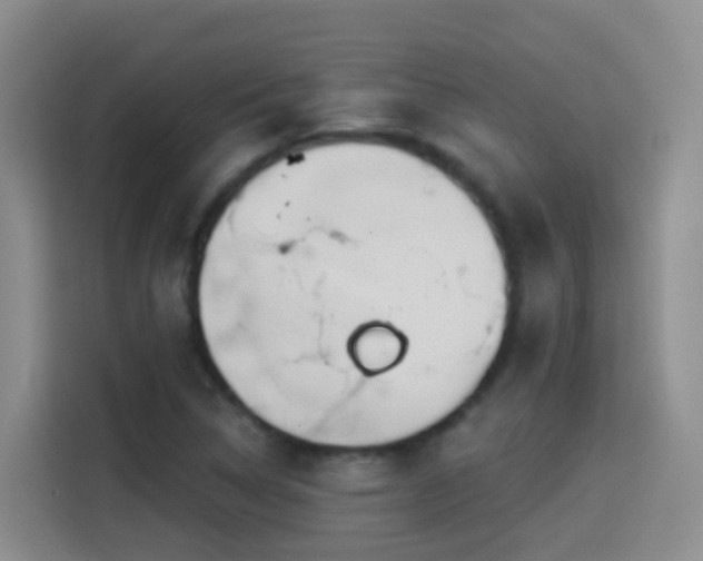 X0000114611314200910201144