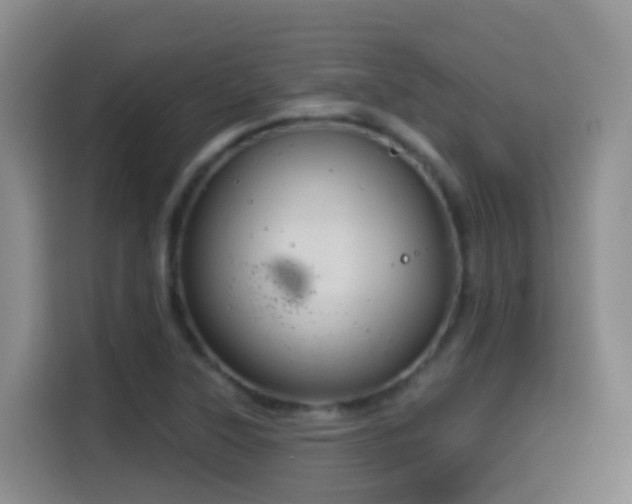 X0000114611315200910201144