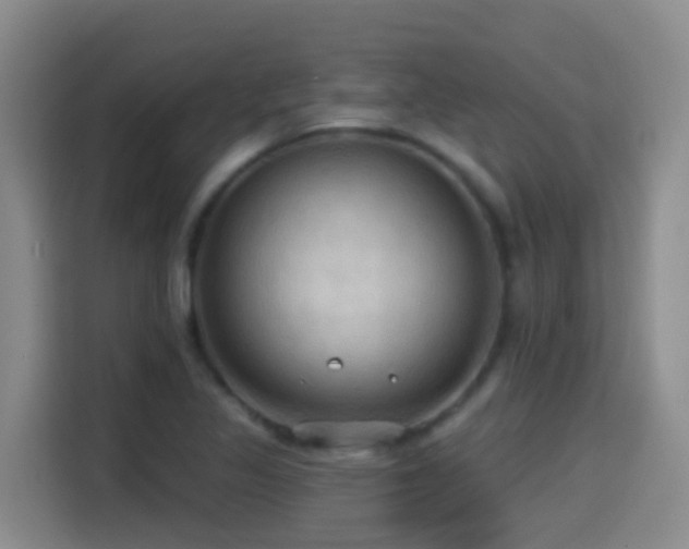 X0000114611317200910201144