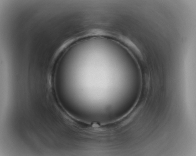 X0000114611318200910201144