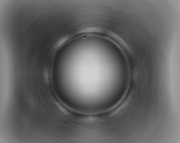 X0000114611321200910201145