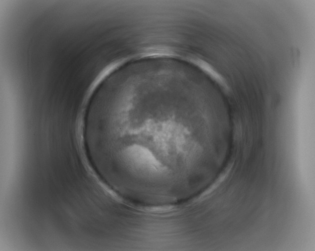 X0000114611325200910201145