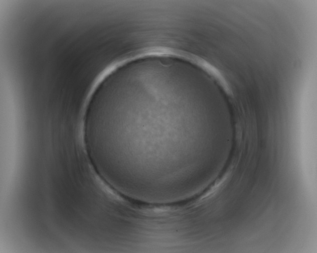 X0000114611326200910201145