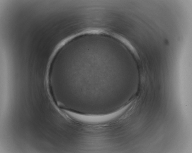 X0000114611327200910201145