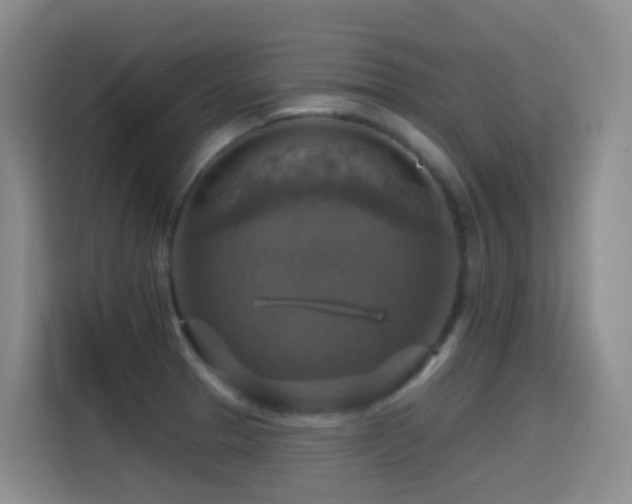 X0000114611329200910201145