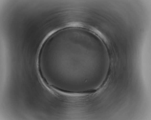 X0000114611331200910201145