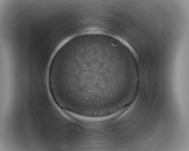 X0000114611333200910201145