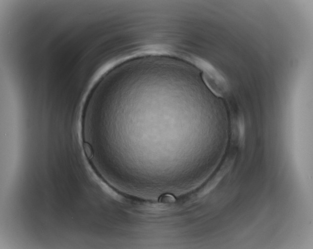 X0000114611334200910201145