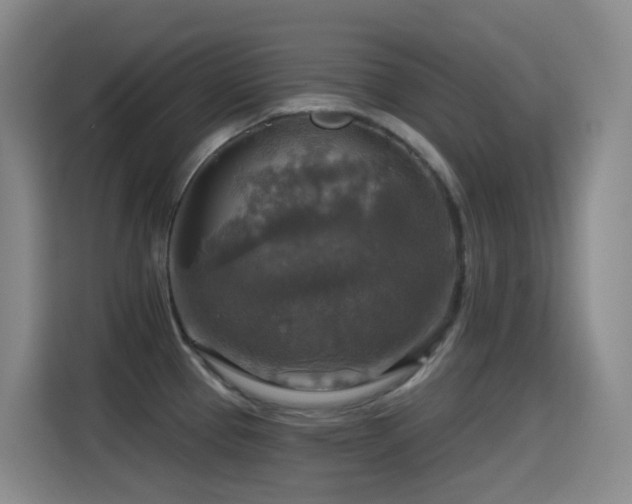 X0000114611337200910201145