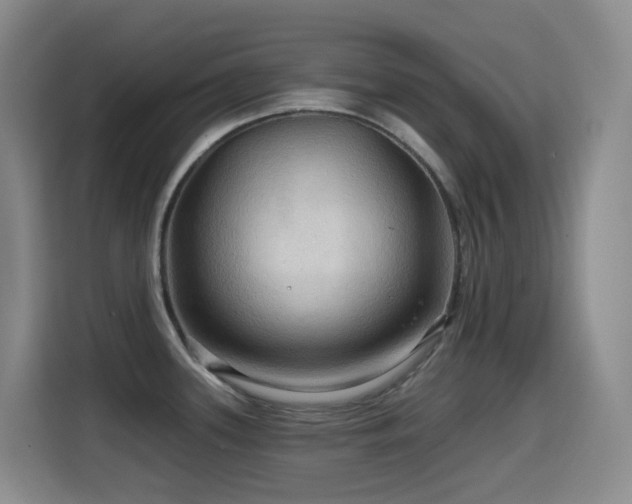 X0000114611339200910201145