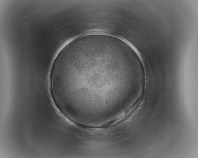 X0000114611341200910201145