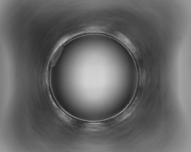 X0000114611342200910201145