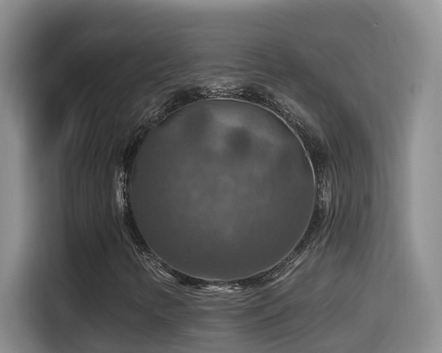 X0000114611346200910201144