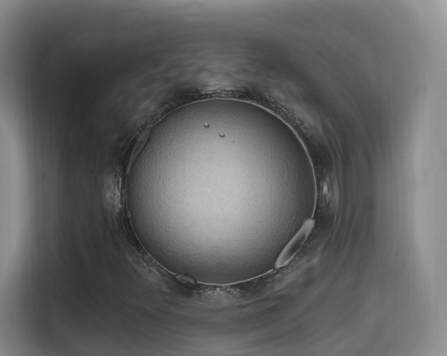 X0000114611348200910201144