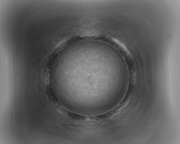 X0000114611350200910201144