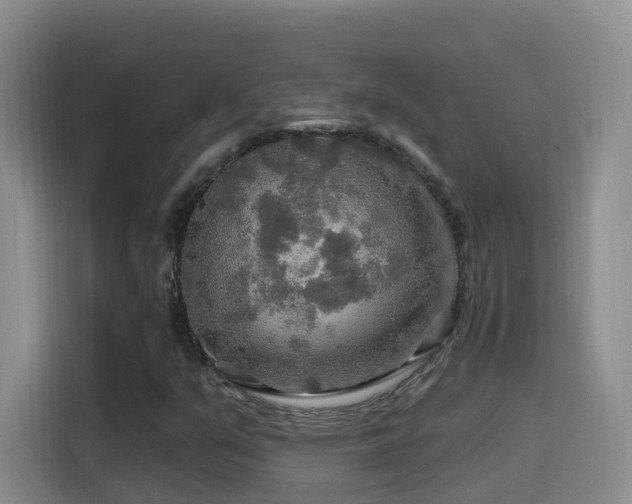 X0000114611351200910201144