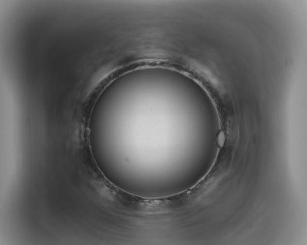 X0000114611352200910201144