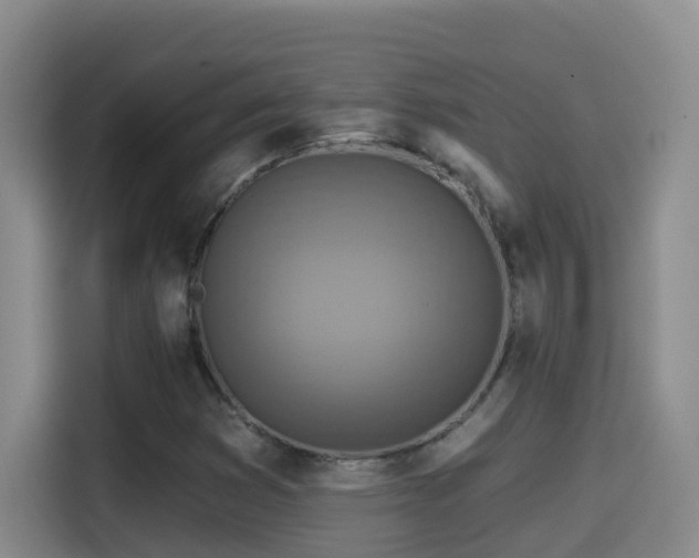 X0000114611353200910201144