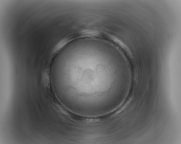 X0000114611354200910201144