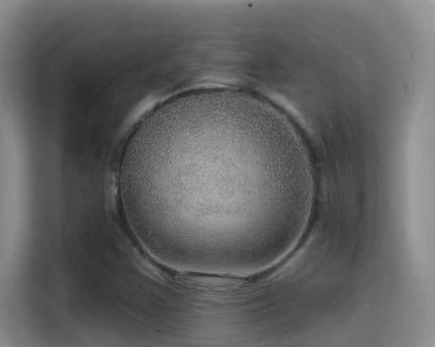 X0000114611355200910201144