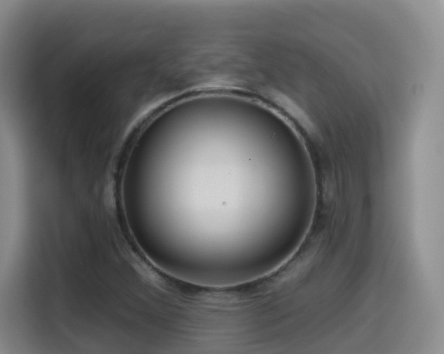 X0000114611356200910201144