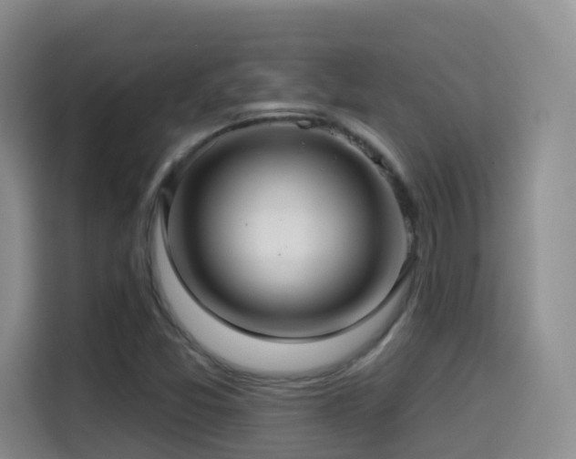 X0000114611357200910201144