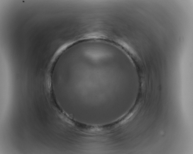 X0000114611358200910201144